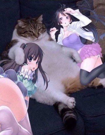 BobaaaSenpai tweet media