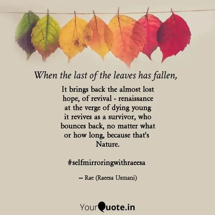 RaeesaUsmani's tweet image. What happens when the #lastoftheleaves has fallen from a tree or a plant?
 #musingtime #yourquoteandmine
Collaborating with YourQuote Baba   
 #WritingCommunity #Read #writerslift #writercommunity #life #LifesTooShort yourquote.in/raeesa-usmani-…