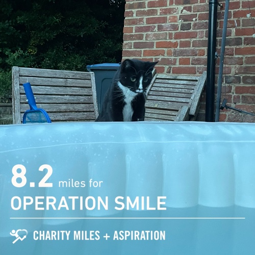 LatersBabyUK's tweet photo. #FiftyFans I walked & cricketed for 8.2 @CharityMiles for @operationsmile & #MoveYourButt🍑 I think #StevieTuxedo was contemplating a dip! https://t.co/YjYutg79Rt