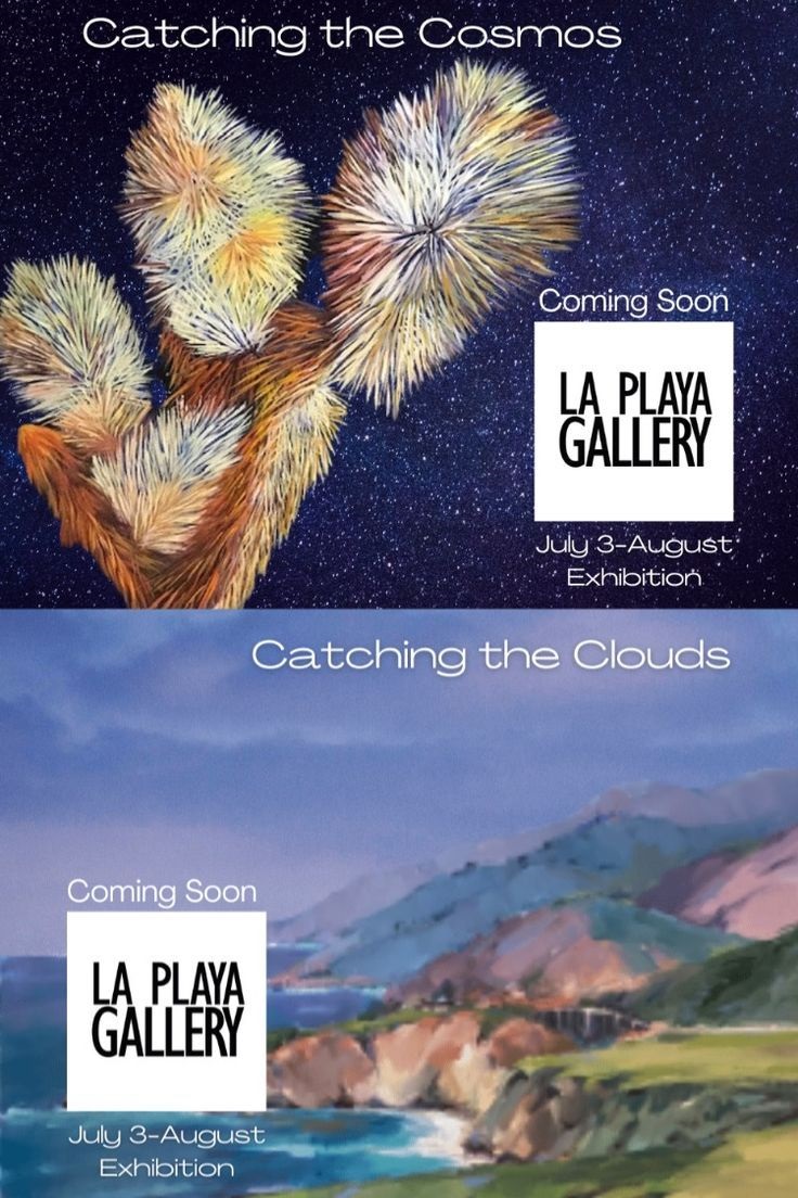 La Playa Gallery tweet media