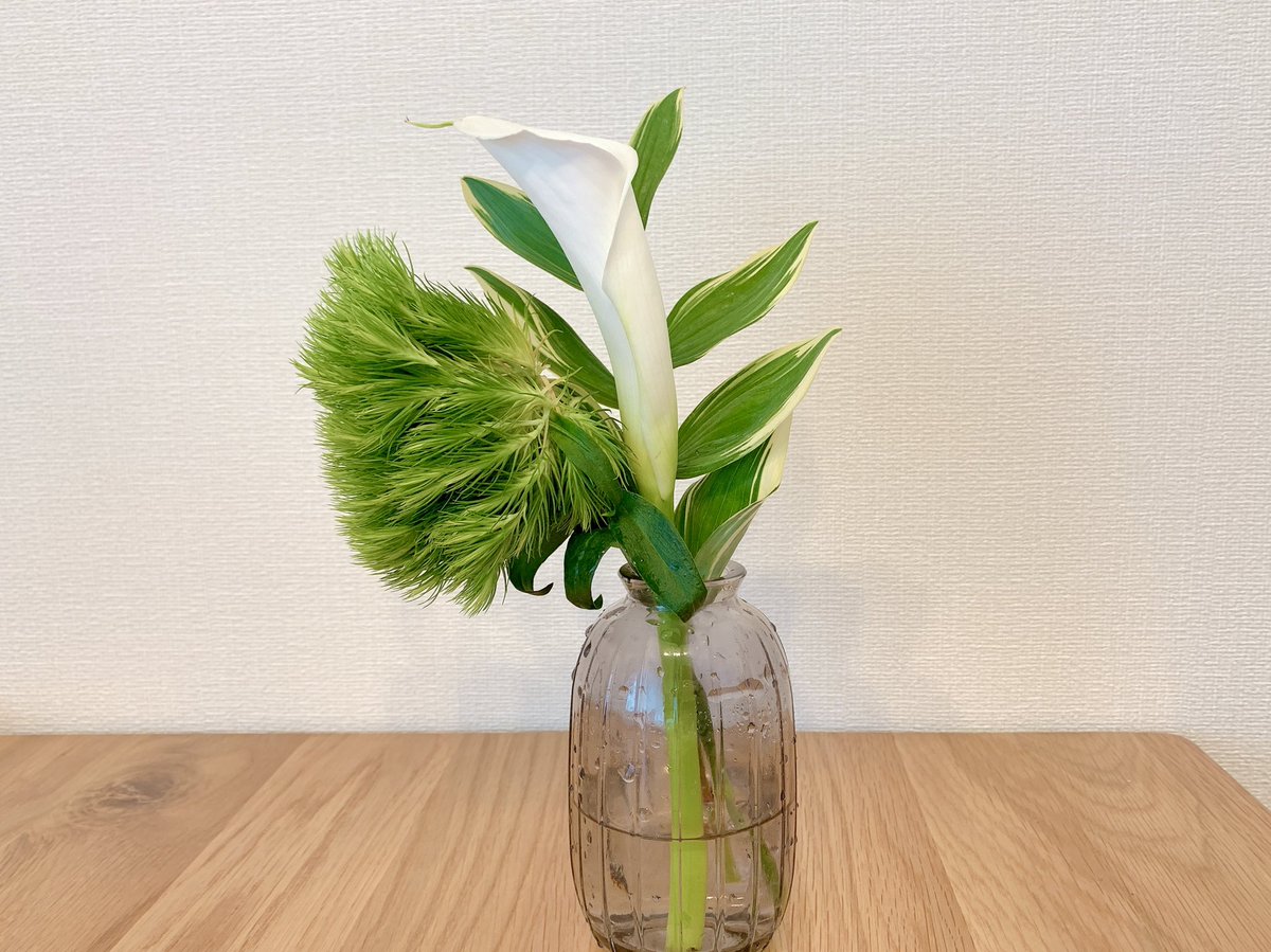 raku_hapi's tweet photo. おはようございます☀

今週の #bloomee は、グリーンの花束✨カラフルなお花もキレイですが、グリーンもさわやかで良いですね👍

こ��らで過去のお花も紹介しています
https://t.co/18IYGp0DOI

今日は金曜日！
週末まであと少しがんばろー🙌

#花のある暮らし 
#花の写真 
#花の定期便
#ブルーミー https://t.co/314JwwaIrV