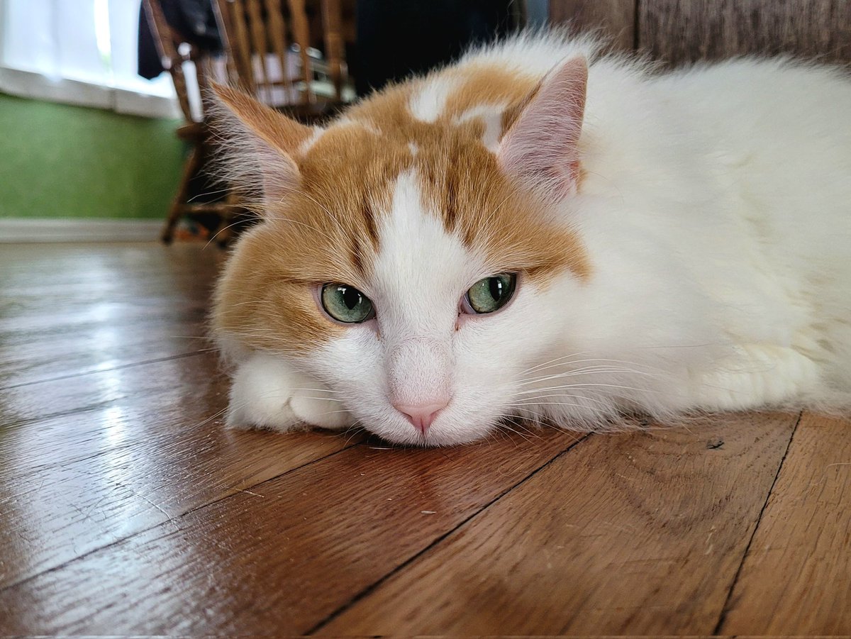 FelixRepleon's tweet image. Just enjoying the day