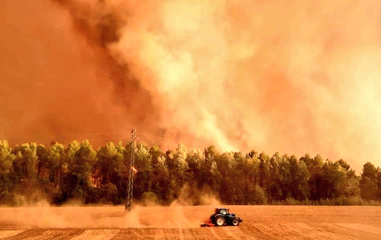 Avui a tuiter tothom parla dels pagesos i de la imprescindible tasca que fan quan Catalunya crema deixant-ho tot per anar a fer tallafocs posant en risc les seves eines i la seva vida. Però durant l'any que? Seguireu comprant avellanes de Turquia perquè són més barates? 🤦🏼‍♂️