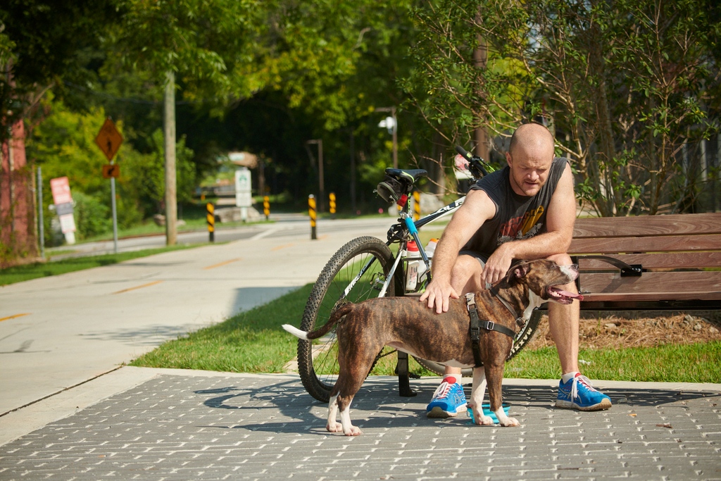 PATHFoundation's tweet image. We love pups on the PATH!  

With rising temps, be sure to check if it's safe for their precious paws 🐾

#pathfoundation #pathsforall #pawsonthepath #atlanta #atlga #trailsforall #atlantatrails #atlantabeltline #atlbeltline