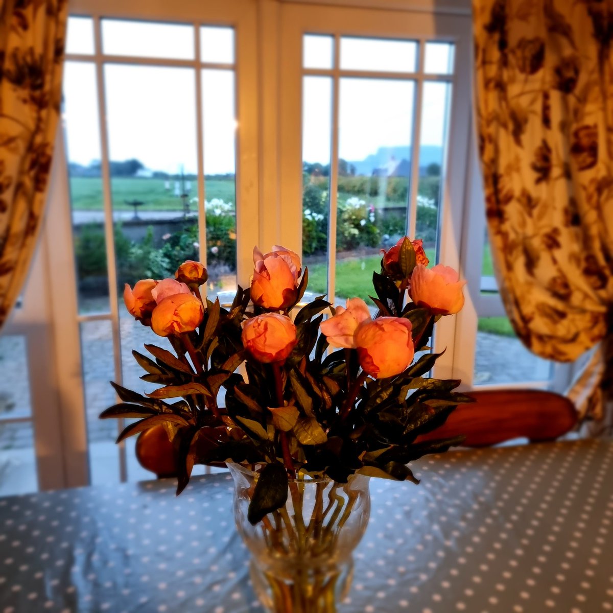 @Cereals_NW_NI <a href="/AHDB_Cereals/">AHDB Cereals</a> <a href="/UlsterArable/">UlsterArableSociety</a> <a href="/UFUHQ/">Ulster Farmers' Union</a> <a href="/itlusie/">ITLUS</a> <a href="/AFBI_NI/">AFBI</a> <a href="/GreenmountSRC/">CAFRE Greenmount SRC</a> <a href="/farmerkaney/">Richard Kane</a> <a href="/ThompsonFeeds/">Thompsons</a> Thank you <a href="/BellBarclay/">Barclay Bell</a> @MoorfieldFlower for the beautiful flowers really appreciated 🌻 lovely to see you here at Broglasco!