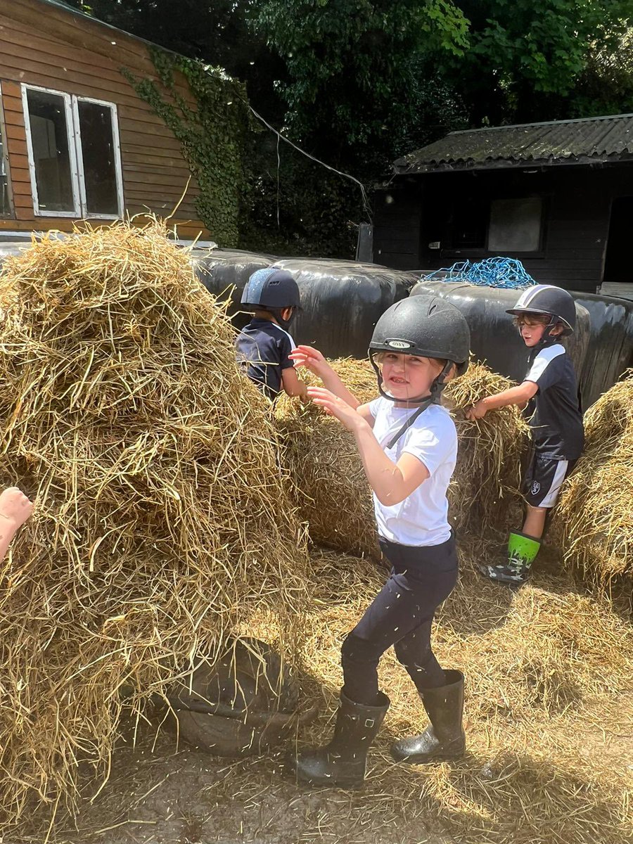 HaddonDene's tweet photo. It’s wonderful to be back at the stables again. #stables https://t.co/RGnafHbqRq