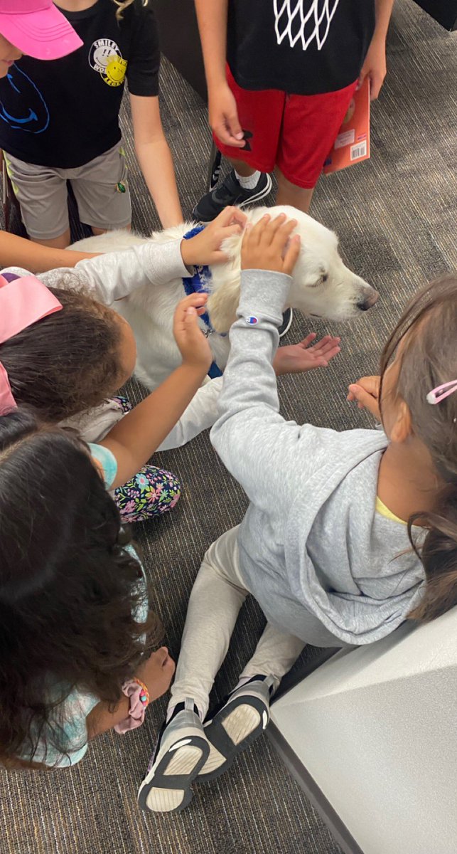 Callie Fouts (@calliefouts) on Twitter photo Perks of Camp Summit- you get visits from <a href="/CopelandCFISD/">Copeland Elementary</a> ‘s library dog, Trixie! What a sweet surprise! 💙🐶
#CFISDspirit Perks of Camp Summit- you get visits from <a href="/CopelandCFISD/">Copeland Elementary</a> ‘s library dog, Trixie! What a sweet surprise! 💙🐶
#CFISDspirit