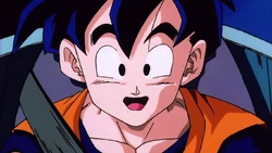 Cani Offices tweet media