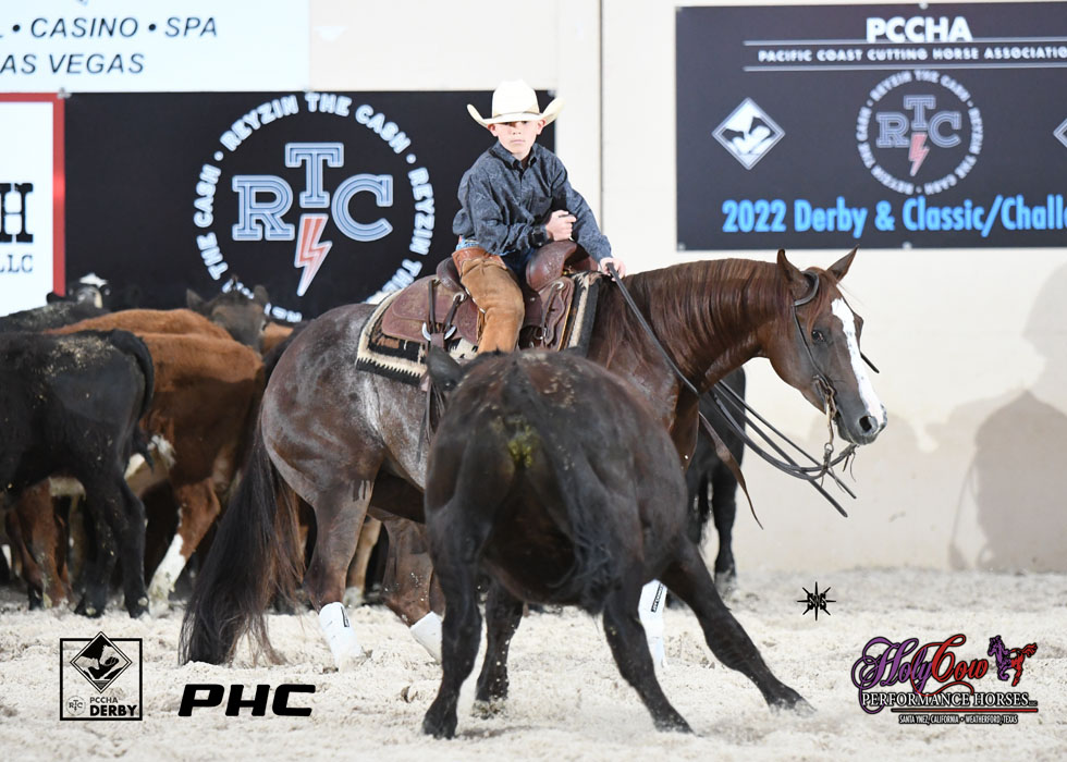 PHorseCentral's tweet photo. Congratulations to #PCCHA #ReyzinTheCash Derby 5/6YO Limited Amateur Champion Trystan Crow riding Prime Time Diva (One Time Pepto x Desires Cat) owned by Mary Crow to a 216 taking home the 1st place check for $1,852
#holycowperformancehorses
#scootemnshootemphotography https://t.co/PVFumRReAK