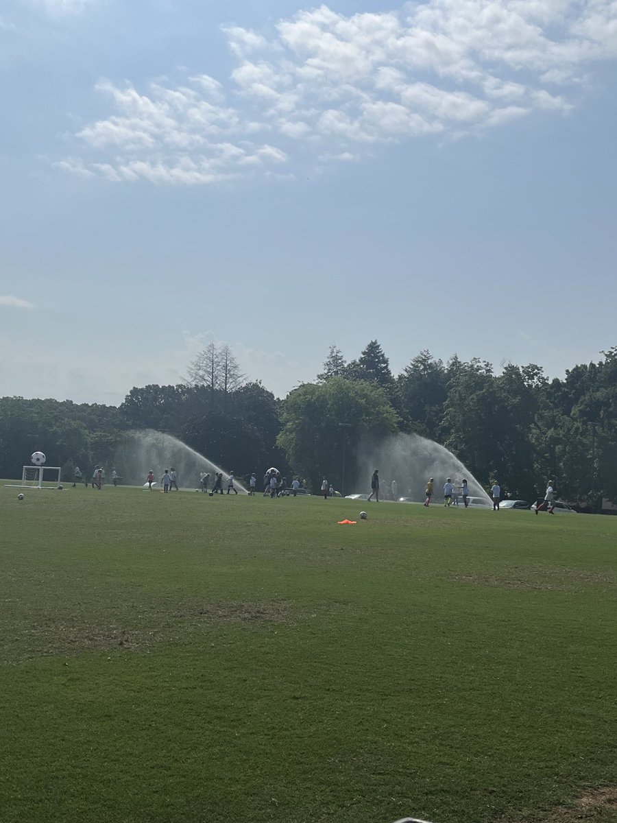 Alan Hale tweet media