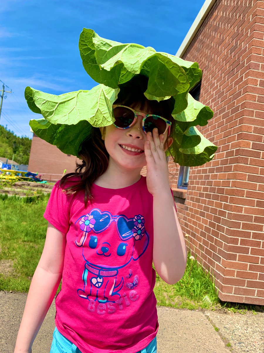 MsOickle's tweet photo. What happens when you are outside without a hat and the sun is beating down? You make a rhubarb hat from the school garden of course 😂 @AITCNL @NLESDCA @bpprimary https://t.co/DbgUDEsR58
