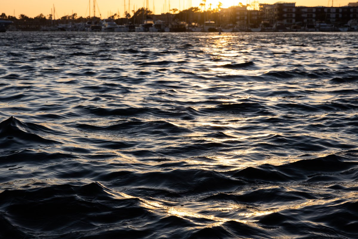 MonumentVisions's tweet photo. Golden hour never seems to disappoint!
.
.
.
.
.
#goldenhour #magichour #sunset #sunsetphotography #marina #ocean #water #waves #sea #sealife #colorphotography #photography #canon #media #monumentvisions https://t.co/MpZp69FH3A