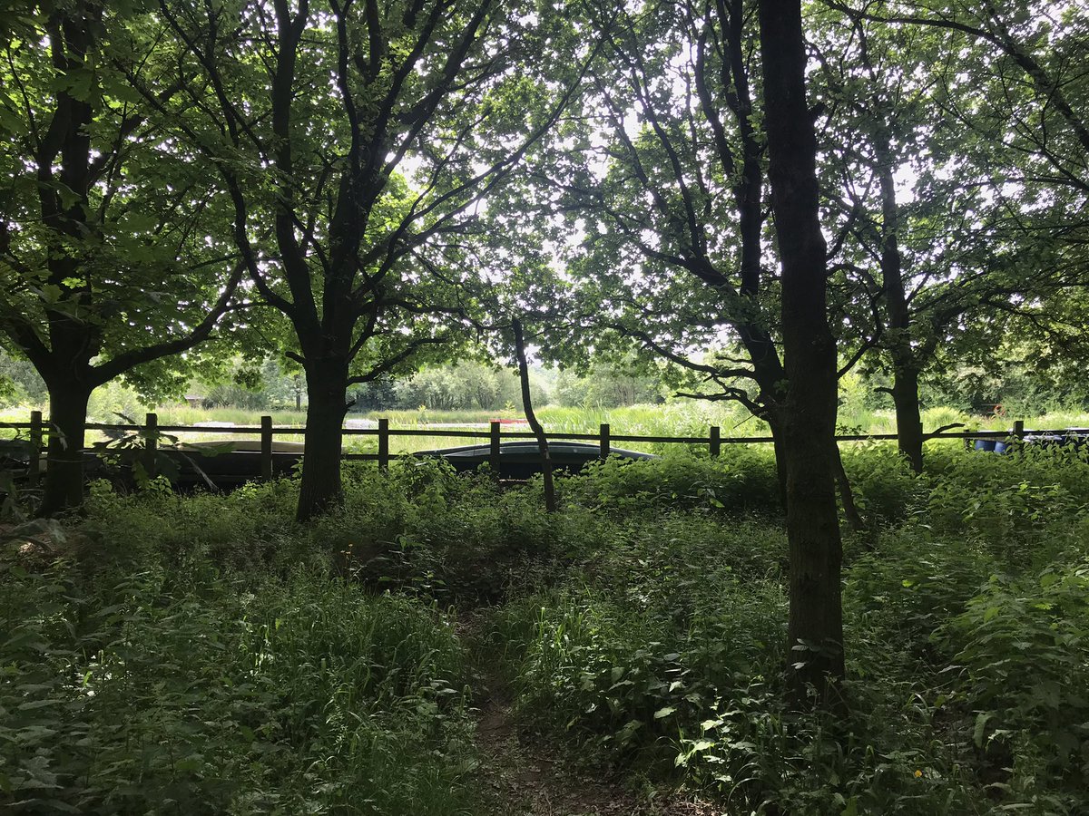 Miss Pearson tweet media