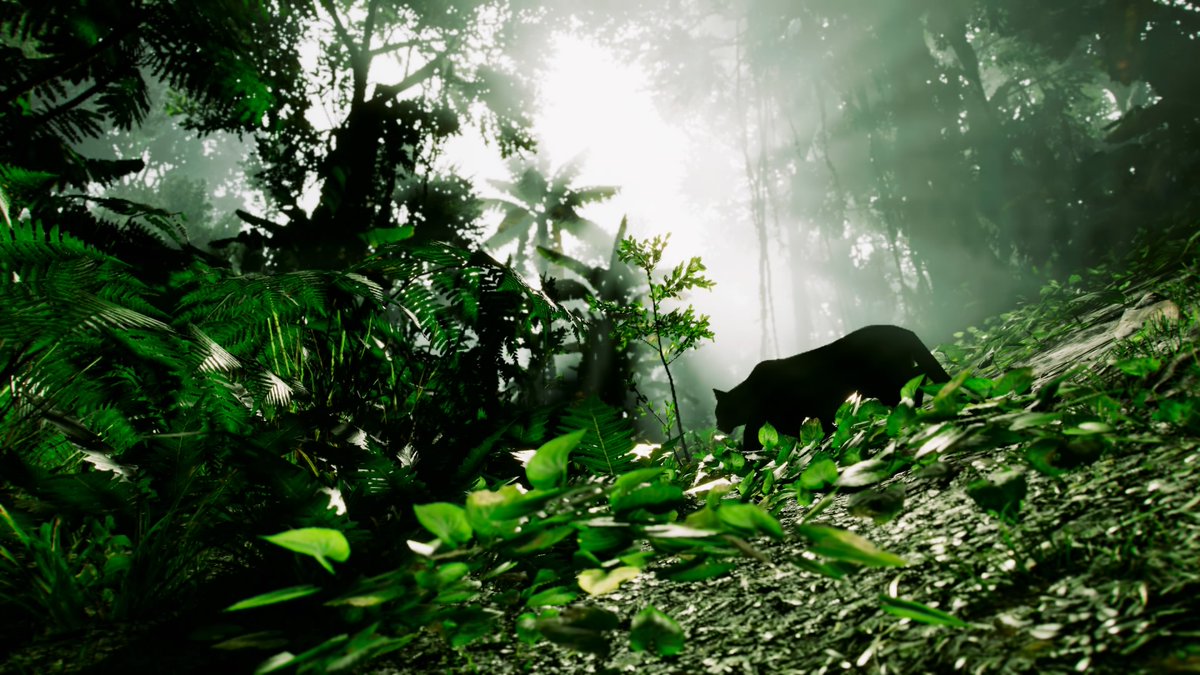 TequilaChow's tweet photo. @FarCrygame The jungle. That's Far Cry https://t.co/KPQ1X7jrFF