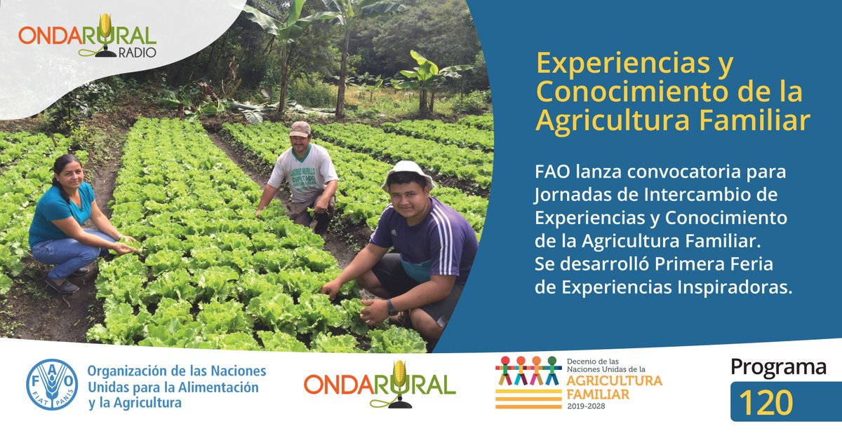 ondarural's tweet photo. 📣Al aire el #programa120 de #OndaRuralRadio🎙
.
#FAO: Convocatoria para Jornadas de Intercambio de Experiencias y Conocimiento de la #AgriculturaFamiliar👩‍🌾🎋🧑‍🌾 
.
#Experiencia: Proyecto trabaja para romper el ciclo de pobreza👩‍🌾🎋📲🧑‍🌾 en Costa Rica🇨🇷

🎧▶️ https://t.co/65DhtNtDcI https://t.co/hfl50FgrfP