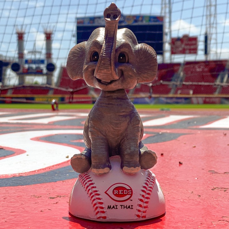 Reds's tweet photo. 🚨 BOBBLEHEAD &amp; TICKETS GIVEAWAY 🚨

Retweet to enter to win a Mai Thai the elephant bobblehead and two tickets to Tuesday's @CincinnatiZoo Night game vs. the Dodgers. 🐘 

Must enter before 11 a.m. ET, Friday, June 17. Rules ➡️ https://t.co/slqTa878IK