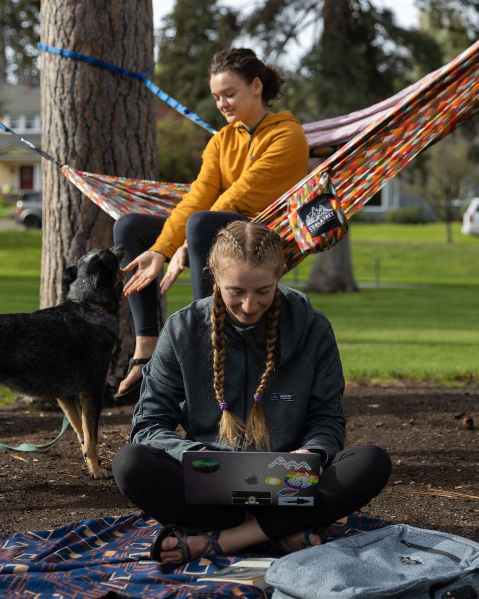 The work life but with hammocks and dogs 😎 

Does it get much better than this?

📸 Alex Binder

#coalatree 
#greettheoutdoors 
#ecomindedgoods