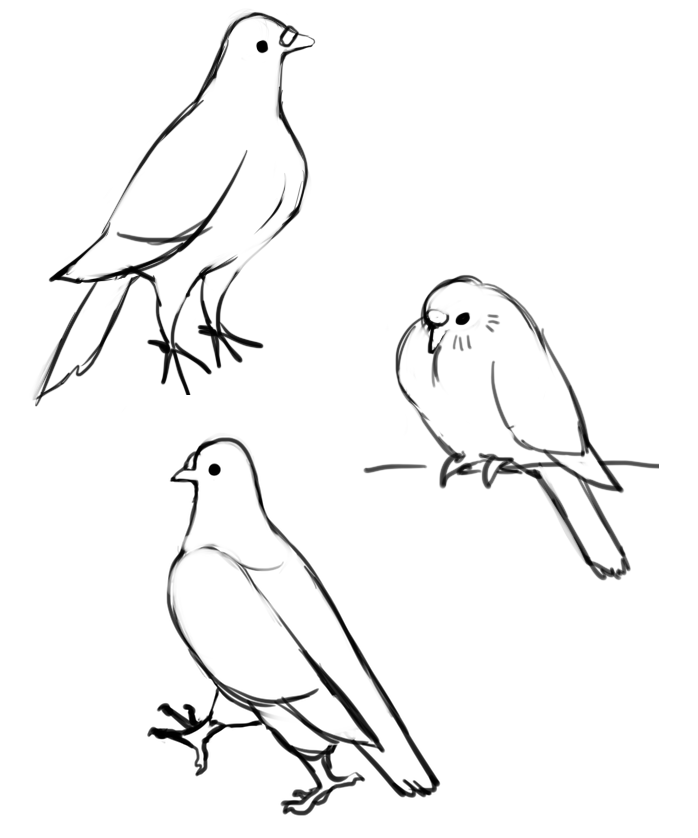 parhelichor's tweet photo. 3rd, 4th, &amp; 5th attempts, using references this time. already miles better. Starting to map out important shapes in my mind (beak lump thing, cone shaped neck, huge tits, bird equiv of shoulders) https://t.co/YkCJq1mpQI