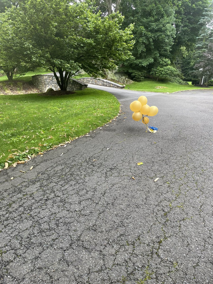 timmythebro's tweet image. This is in my driveway. I’m not aware of any festivities among my neighbor nor myself. Am I about to float? #itchapter3