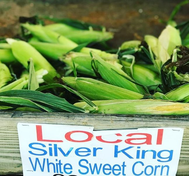 KingsFarmMarket's tweet photo. Pick them or miss them! 😉🌽
-
https://t.co/qPbB9jVRXH
.
.
#KingsFarmMarket #EdistoIsland #SouthCarolina #CertifiedSC #FarmMarket #FarmGrown #HealthIsWealth #ShopLocal https://t.co/854svM93fR