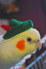 Speedblox's tweet image. Do you remember when you joined Twitter? I do

not! #MyTwitterAnniversary 

xdddddddddddd