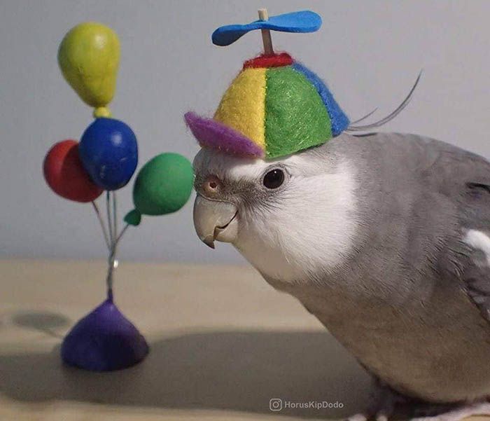 Speedblox's tweet image. Do you remember when you joined Twitter? I do

not! #MyTwitterAnniversary 

xdddddddddddd