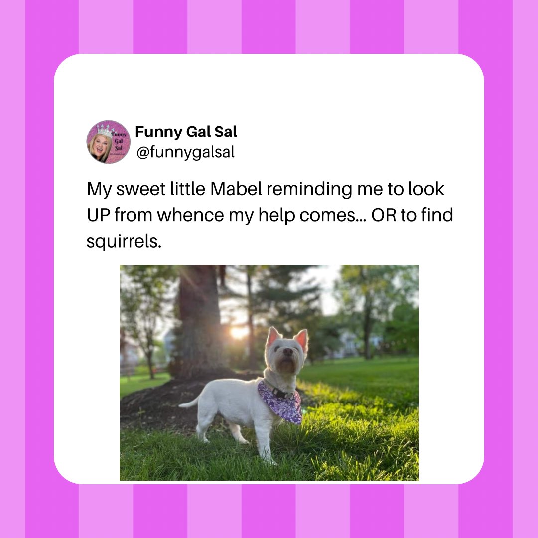 funnygalsal's tweet photo. 👸🏼Remember to look up… #funnygalsal #cleancomedy #christiancomedy #christiancomedian #christiancomedians https://t.co/peASQfl0Re