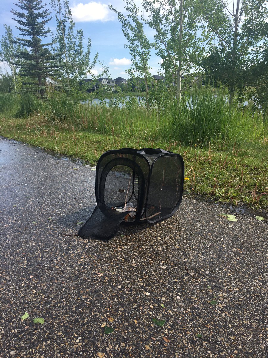 What a fun day!! First we got popcorn from Mr. Fenton, then we went outside to set our butterflies free <a href="/EastLakeRVS/">East Lake School</a> #rvsd