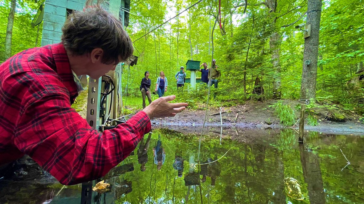 BigCzcn's tweet image. Lovely day for a field trip to the Sleepers River Research Watershed hosted by @CZCNet #BigDataCluster collaborator Jamie Shanley who is based at the @USGS.