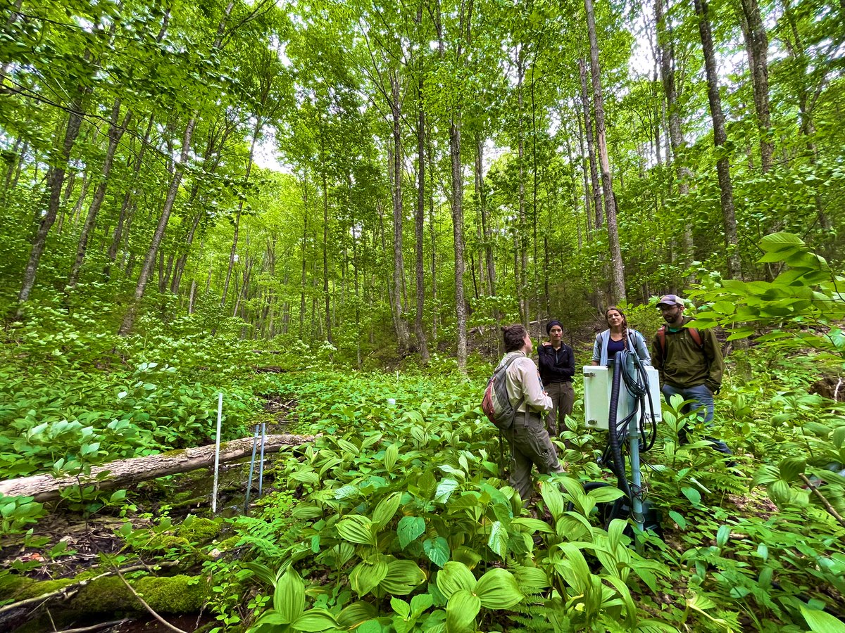 BigCzcn's tweet image. Lovely day for a field trip to the Sleepers River Research Watershed hosted by @CZCNet #BigDataCluster collaborator Jamie Shanley who is based at the @USGS.