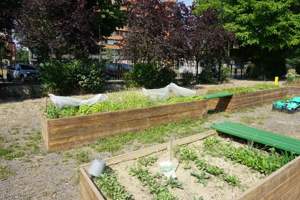 proGIreg gathered cities from across Europe to #Turin to learn about #naturebasedsolutions potential to regenerate #urban areas 🌱 🏨 

With #aquaponics,  #urbanfarms &amp; #urbangardens, #greenroofs, #greencorridors and #pollinator #biodiversity #Torino inspired all 🏡