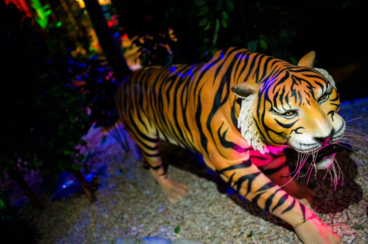 The Lost City Adventure Golf Belfast tweet media