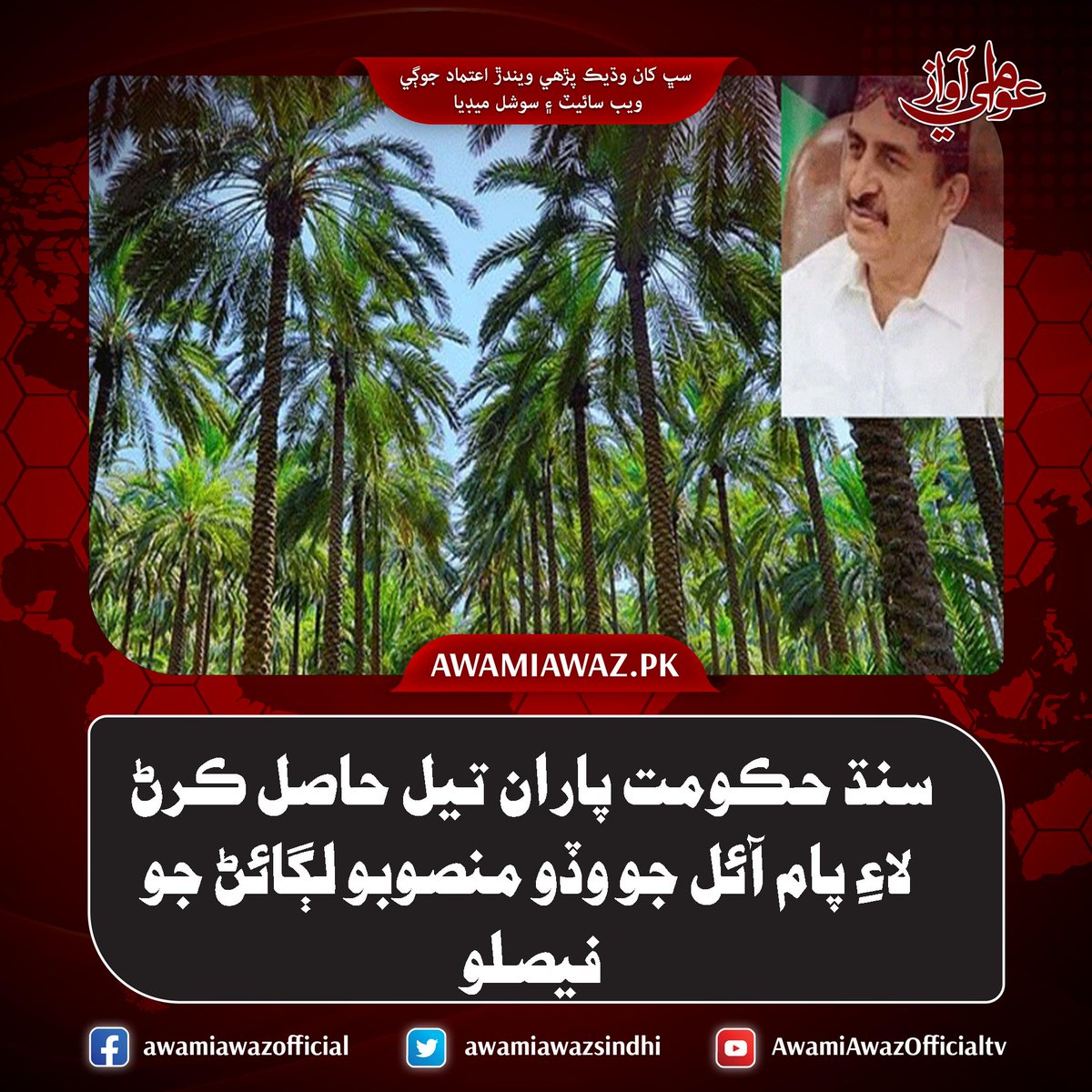 awamiawazsindhi's tweet image. سنڌ حڪومت پاران تيل حاصل ڪرڻ لاءِ پام آئل جو وڏو منصوبو لڳائڻ جو فيصلو
وڌيڪ تفصيل لاءِ وزٽ ڪريو
awamiawaz.pk/899313/
#SindhGovt #IsmailRahu