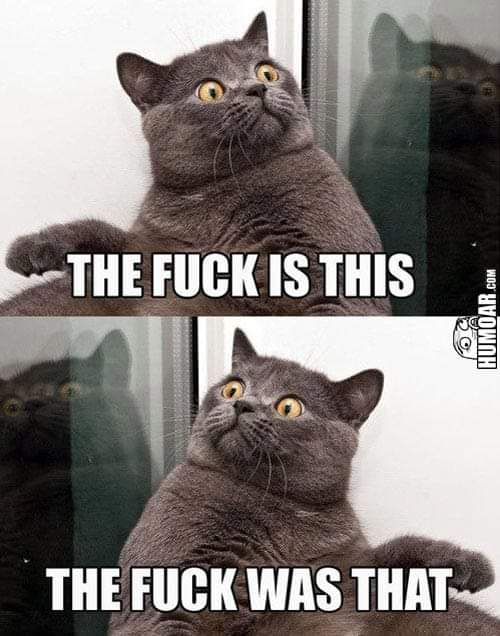 PreciousSage's tweet image. //I saw a spider and now im traumatized 😭 i'll be paranoid for a week atleast.