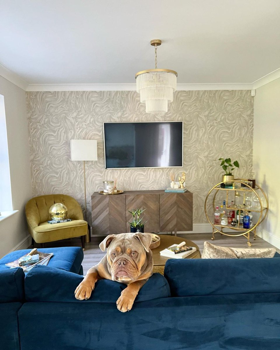 BHS_UK's tweet photo. How adorable is Rocket 🐶😍 We would love to see your pooch #photobombs, share them below 👇
🔎Aubrey Frosted Glass Ceiling Pendant, Brass
https://t.co/chkNiBItda
#BHS #BHSUK #BHSlights #homeinspo #photobombed #dogs #pets #homepic #likeforlike #homelight #livingroom #chilltime https://t.co/JX9A65IfoK
