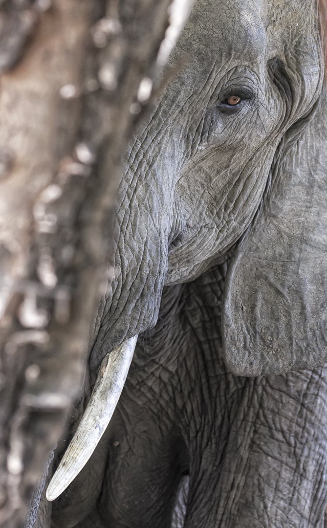 You: Just move on and let it go.

You 24hrs later: