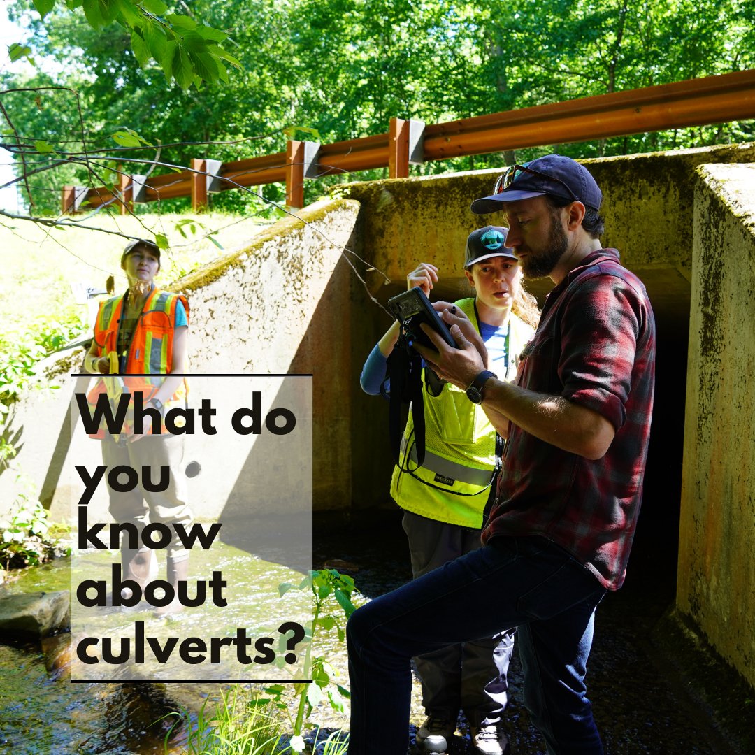 We are assessing road-stream crossings as a part of a new field work collaboration with the Housatonic Valley Association (HVA), and Naugatuck Valley Council of Governments (NVCOG). Follow our work to see updates from the field!
#culverts #flooding #naugatuckvalley