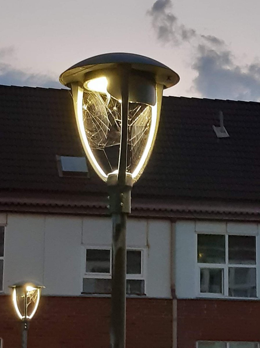 PreciousSage's tweet image. //this is the view from my balcony. KMN 😵😭😱☠☠☠