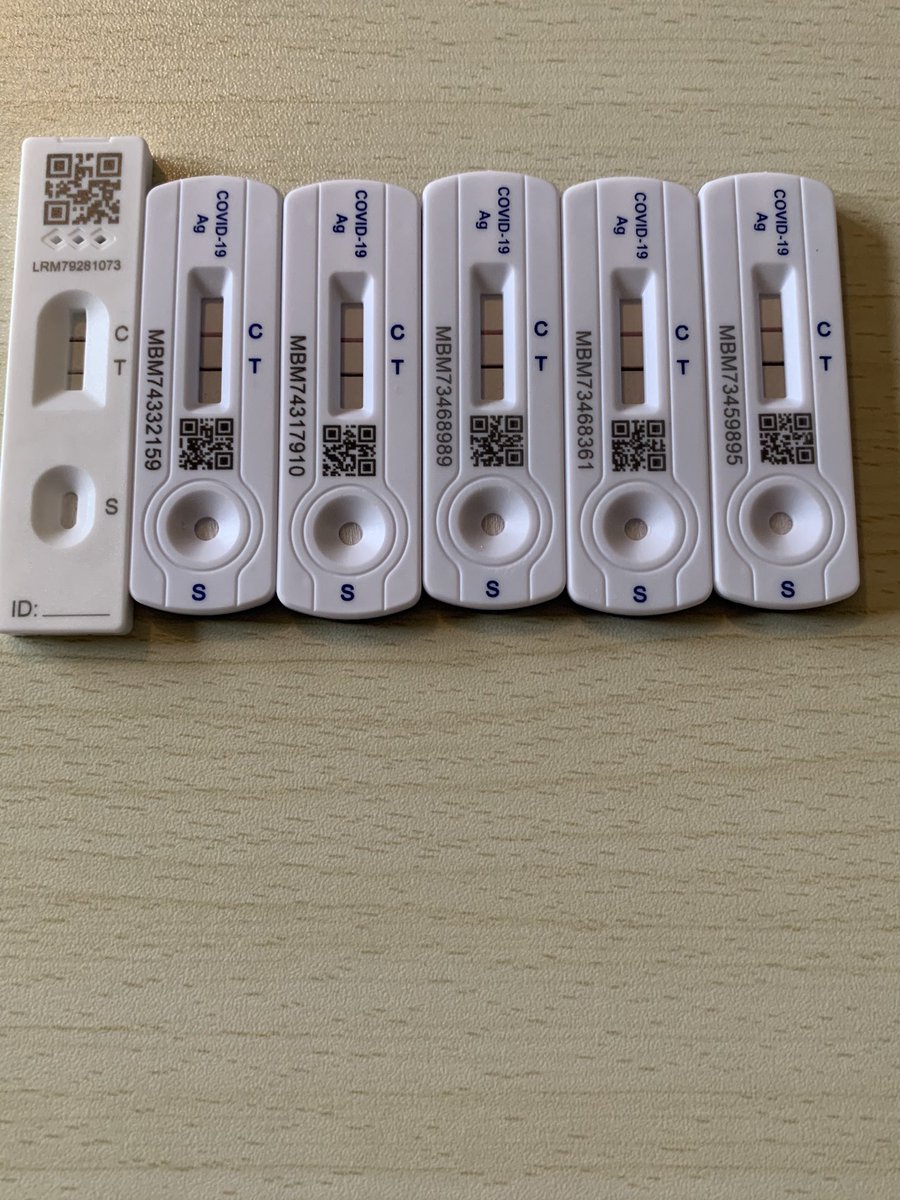 Dimitra Simeonidou, FREng, FIEEE tweet media