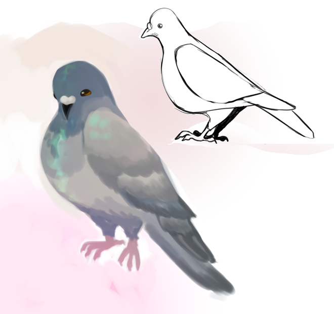 parhelichor's tweet photo. 6th (analytical drawing, side veiw, light referencing)
and 7th! (stylised, no reference, squishy) 
I can now draw pigeons :D
next step would be to draw a million more, but look where half an hour of can get you! https://t.co/teR16YzWe8