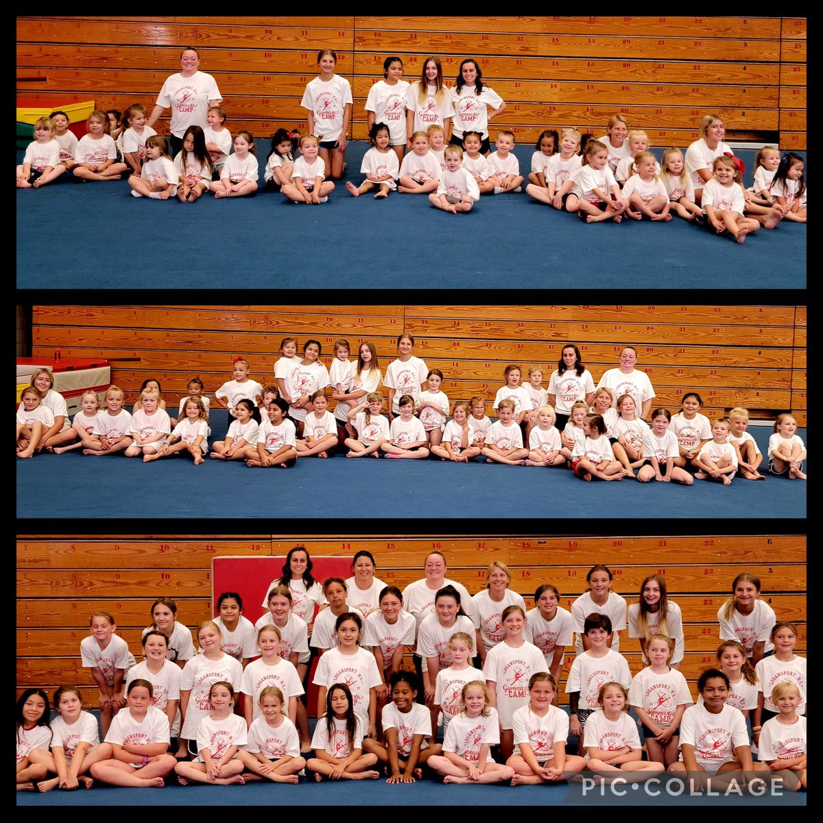 2022 Summer Camp! Bitty Berries, Felix Flippers, &amp; Berry Leaders! 96 campers 🤩