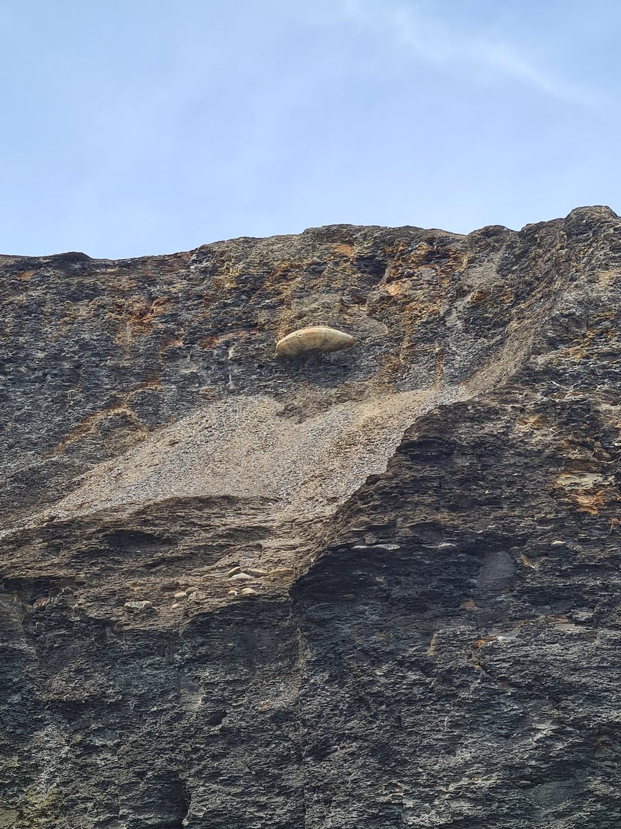 ProgPal2022's tweet image. Is it a nodule or is it the flying saucer off the #progpal22 tshirts🤔🤔🤔🛸🪨🪨