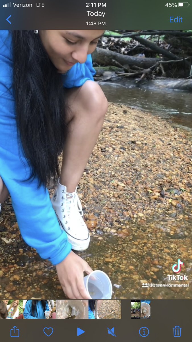 Today the Environmental Club Released the Rainbow Trout They Raised This Year From Eggs.  They Are Now Enjoying Their New Home In The Tinton Falls Pine Brook.