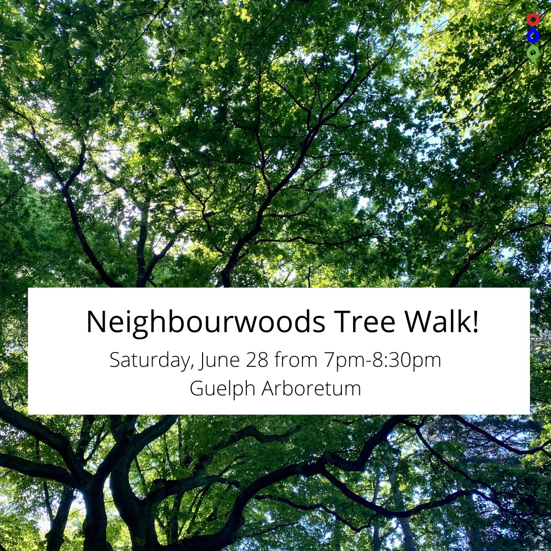 Neighbourwoods's tweet photo. TREE WALK AT THE GUELPH ARBORETUM 🌳🌎💚

Join us this June 28th for a summer evening tree walk, to explore and learn about naturalized areas and native trees, in the beautiful Guelph Arboretum

Please RSVP to carole.m.pines@gmail.com to reserve your spot https://t.co/8RFmNKFEN5