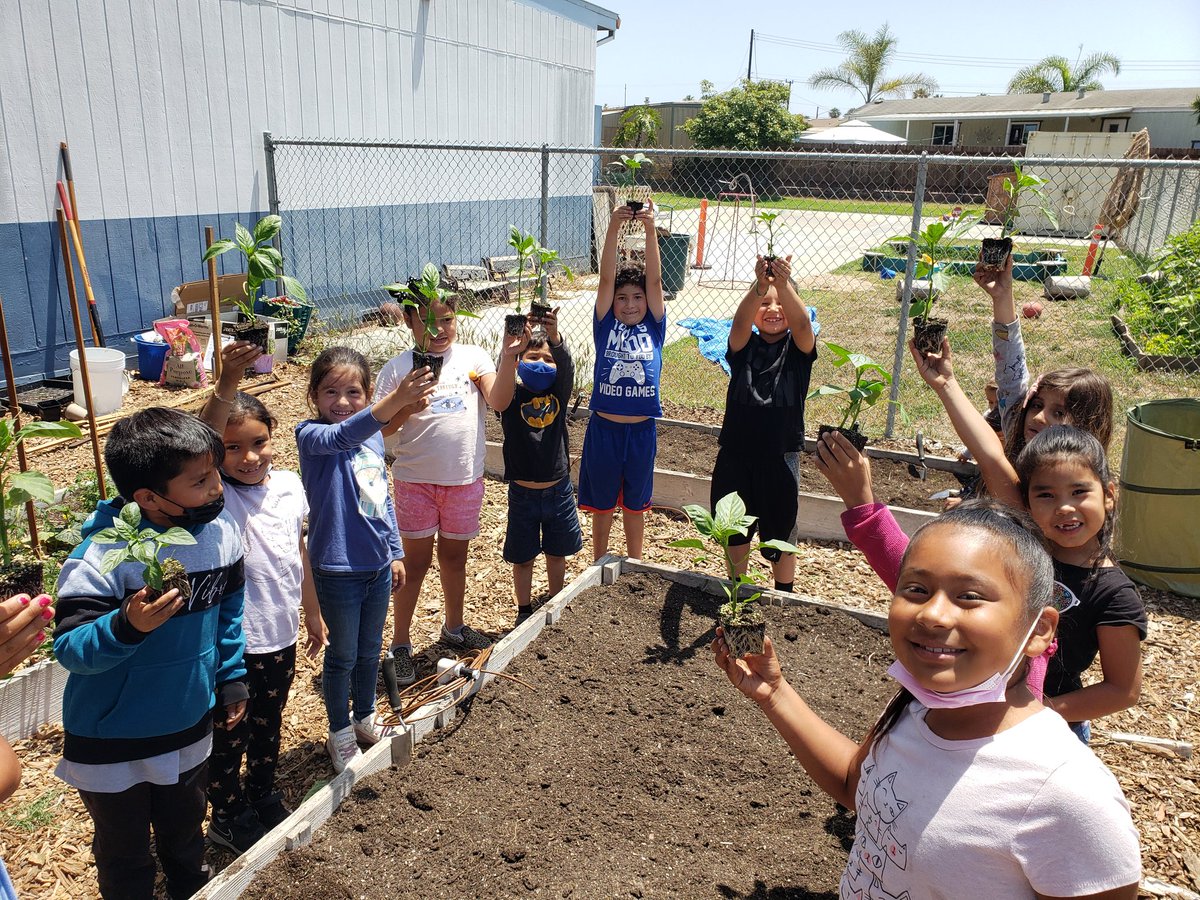 Rio Farm to School tweet media