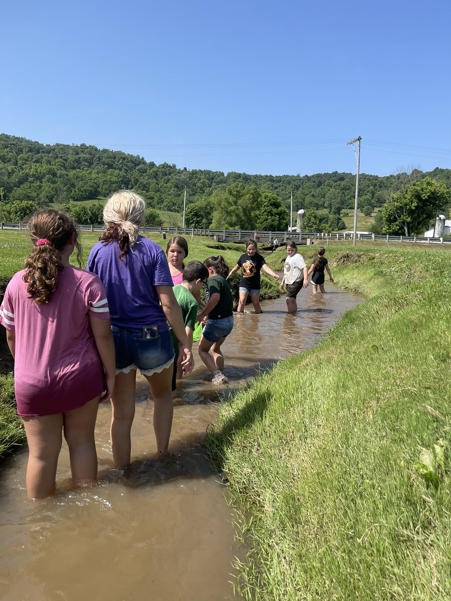 misskatelynnnnn's tweet photo. Creek investigation #summercamp #gozeps #NLC https://t.co/Za5PQMYl5z