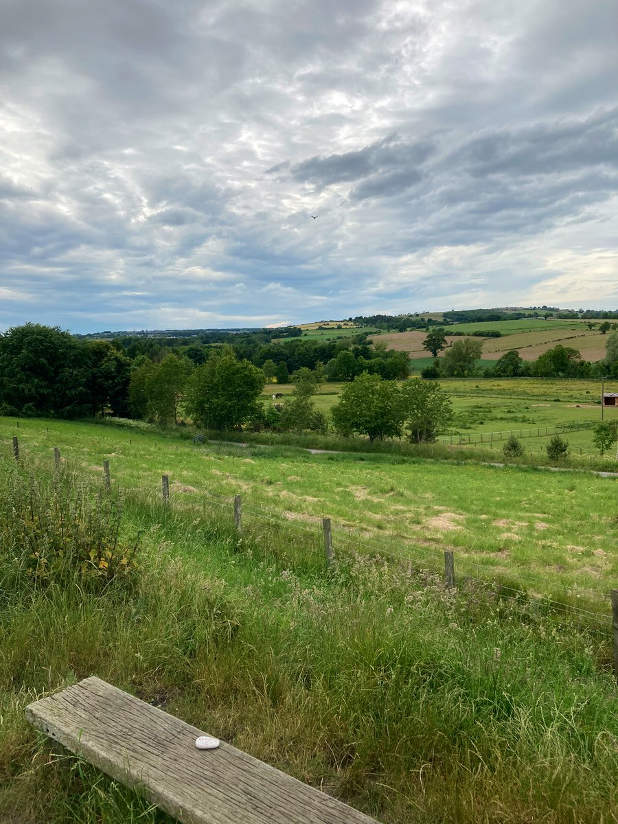 EmmaSharpSLT's tweet image. Mission accomplished! Thanks @KathyCann1 for the rocks! 🪨@RockingAphasia #rockingaphasia