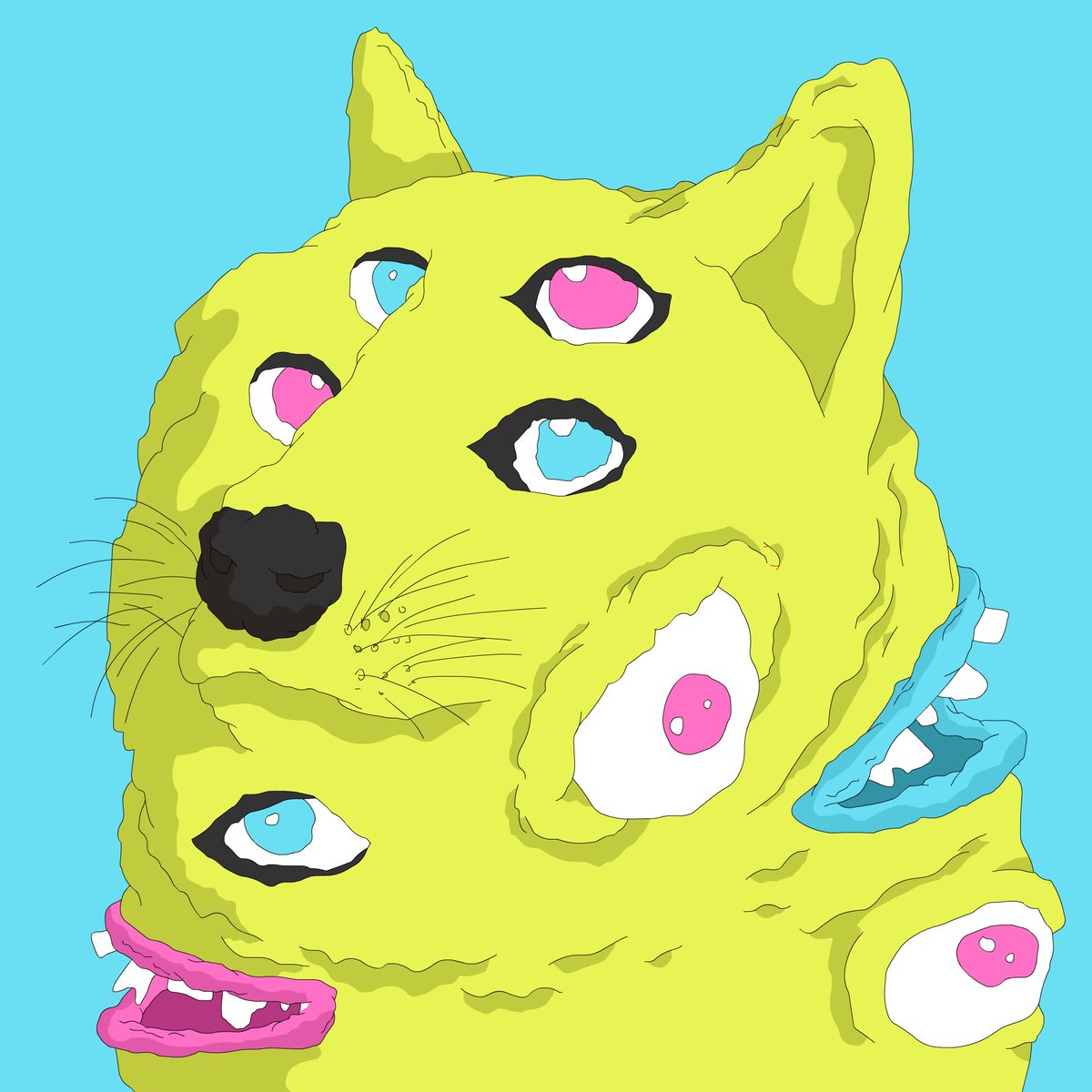 Stephen Hutchins tweet media