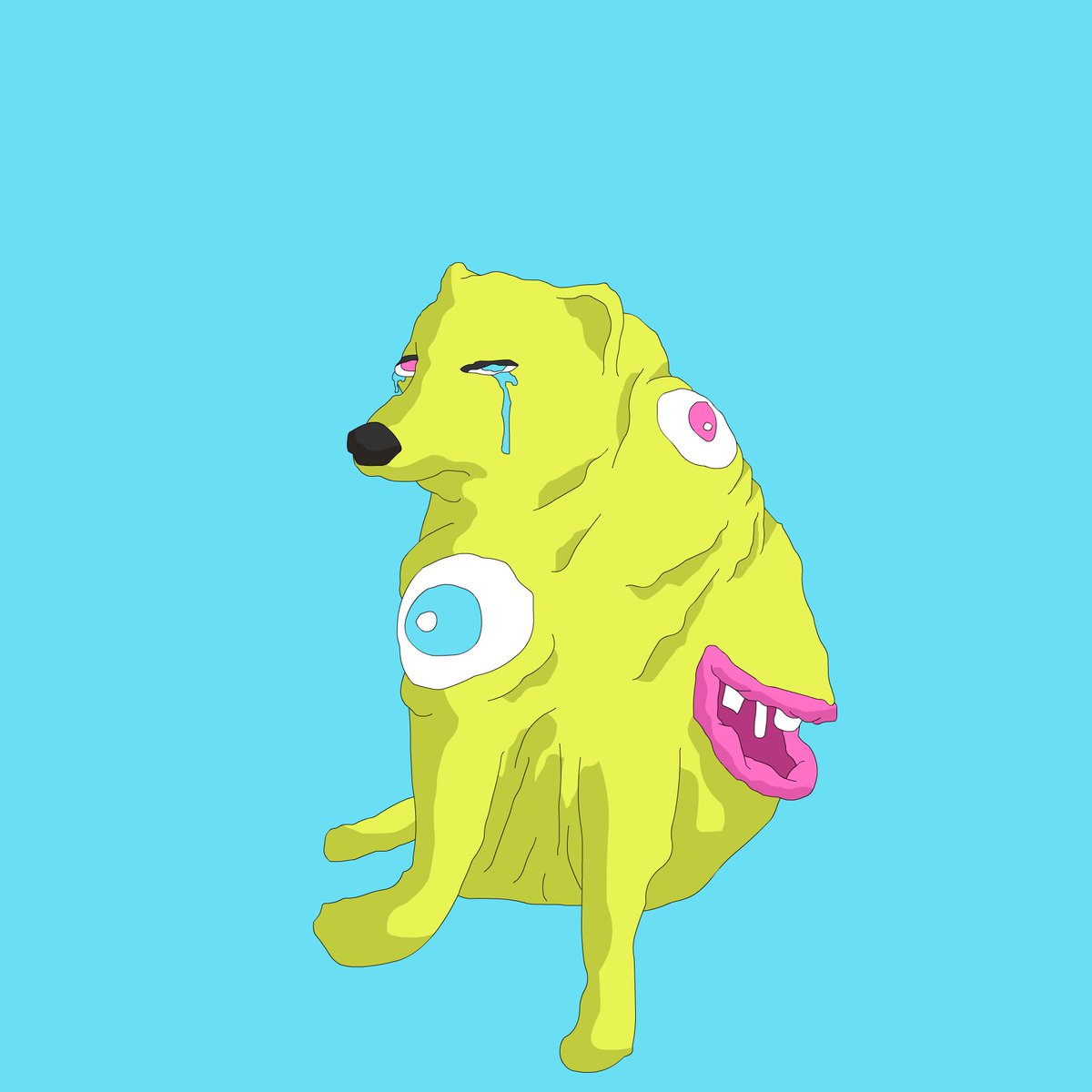 Stephen Hutchins tweet media