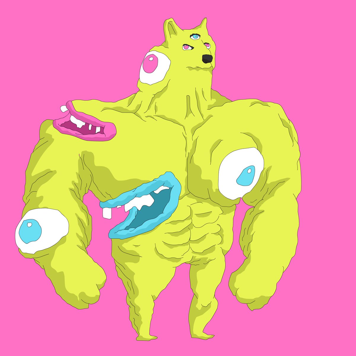 Stephen Hutchins tweet media